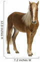 Shetland pony (2 years) Wall Decal