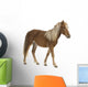 Shetland Pony 2 Years Wall Decal
