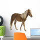 Shetland pony (2 years) Wall Decal
