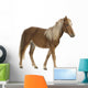 Shetland pony (2 years) Wall Decal
