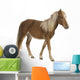 Shetland pony (2 years) Wall Decal