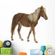 Shetland pony (2 years) Wall Decal