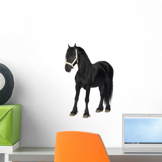 Friesian Horse Wall Decal