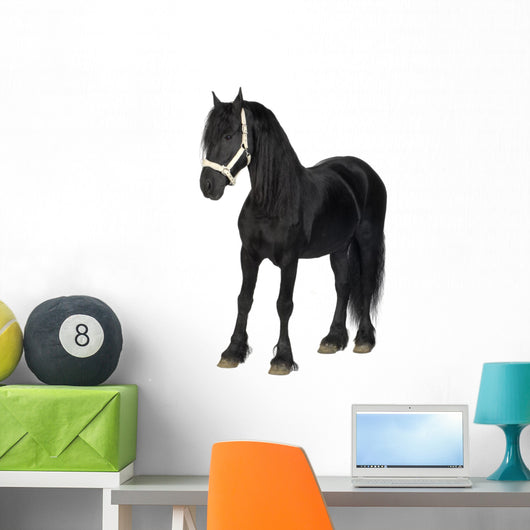 Friesian Horse Wall Decal
