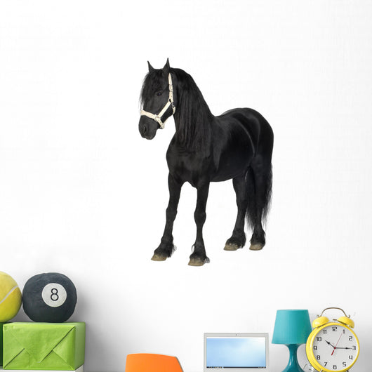 Friesian Horse Wall Decal