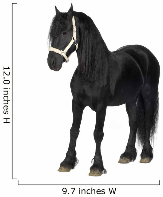 Friesian Horse Wall Decal