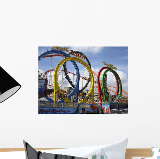 Roller Coaster Wall Mural