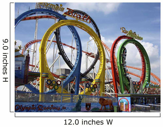 Roller Coaster Wall Mural