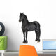 Friesian Horse Wall Decal