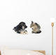 Cat and Dog