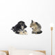 Cat and Dog