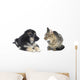 Cat and Dog