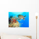 Turtle and coral Wall Mural