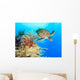 Turtle and coral Wall Mural