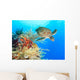 Turtle and coral Wall Mural