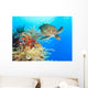 Turtle and coral Wall Mural