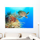 Turtle and coral Wall Mural