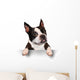 Cute Dog Holding A Blank Sign Wall Decal
