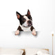 Cute Dog Holding A Blank Sign Wall Decal