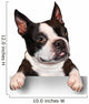 Cute Dog Holding A Blank Sign Wall Decal