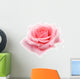 pink rose Wall Decal
