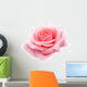 pink rose Wall Decal