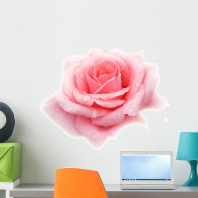 Pink Rose Wall Decal shown on a wall