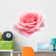 pink rose Wall Decal