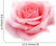 pink rose Wall Decal