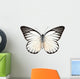 Butterfly Species Prioneris Philonome