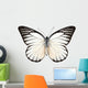 Butterfly Species Prioneris Philonome