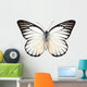 Butterfly Species Prioneris Philonome