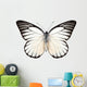 Butterfly Species Prioneris Philonome