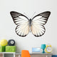 Butterfly Species Prioneris Philonome