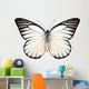 Butterfly Species Prioneris Philonome