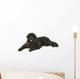 Newfoundland Dog Neufundlnder