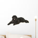 Newfoundland Dog Neufundlnder