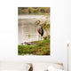 Goliath Heron Standing near Wall Mural