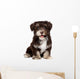 A beautiful smiling chocholate havanese puppy dog Wall Mural