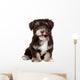 A beautiful smiling chocholate havanese puppy dog Wall Mural