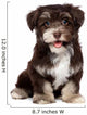 A beautiful smiling chocholate havanese puppy dog Wall Mural