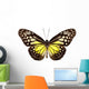 Butterfly Species Parantica Aspasia Wall Mural
