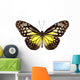 Butterfly Species Parantica Aspasia Wall Mural