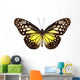 Butterfly Species Parantica Aspasia Wall Mural