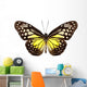 Butterfly Species Parantica Aspasia Wall Mural