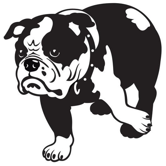 English Bulldog Black-White Wall Decal