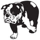 English Bulldog Black-White Wall Decal