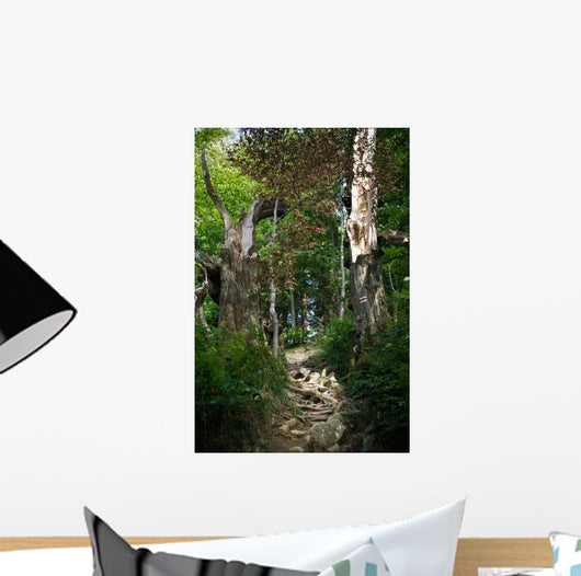 Path Forest