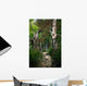 Path Forest
