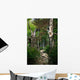 Path Forest
